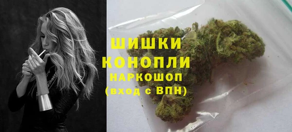 гидра Абаза