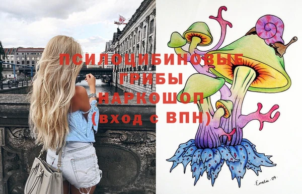 гидропоника Надым