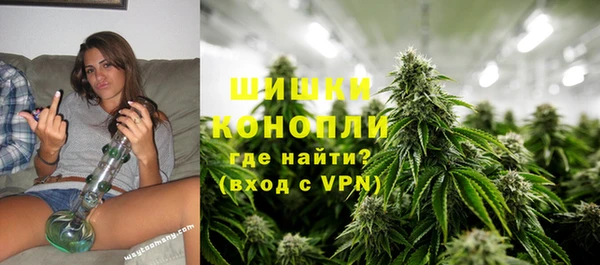 гидра Абаза