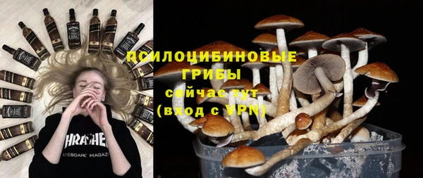 МДПВ Абдулино
