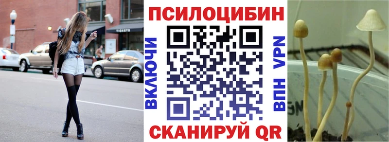 Галлюциногенные грибы мицелий  купить   Новосибирск 