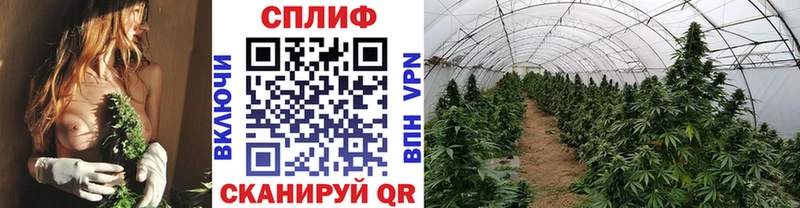 Марихуана LSD WEED  Новосибирск 